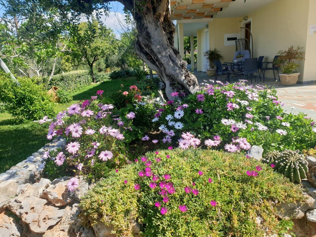 Studio Holiday Kalamata Apartment ภายนอก รูปภาพ